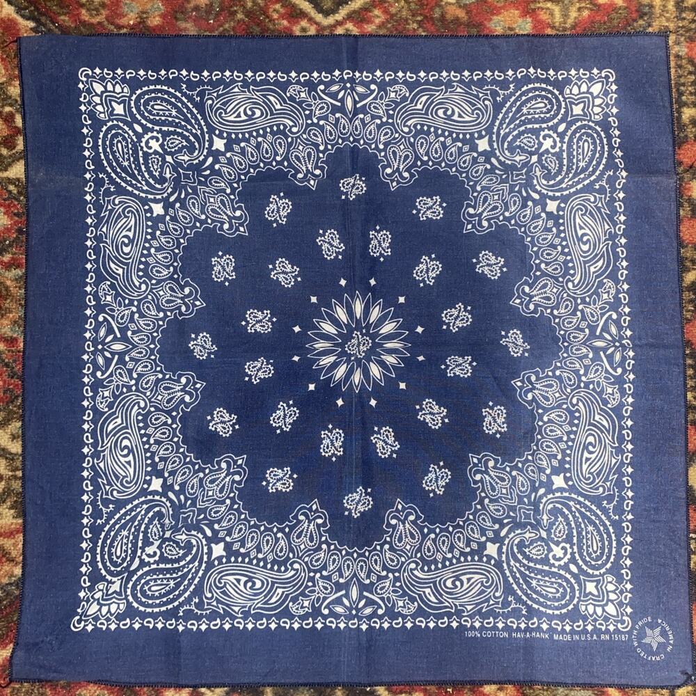 USA MADE Hav-A-Hank Vintage Blue PAISLEY Bandana Scarf COTTON RN 15187